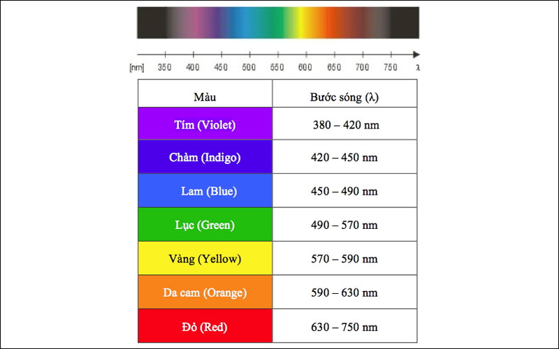 Vùng sáng mà con người có thể nhìn thấy
